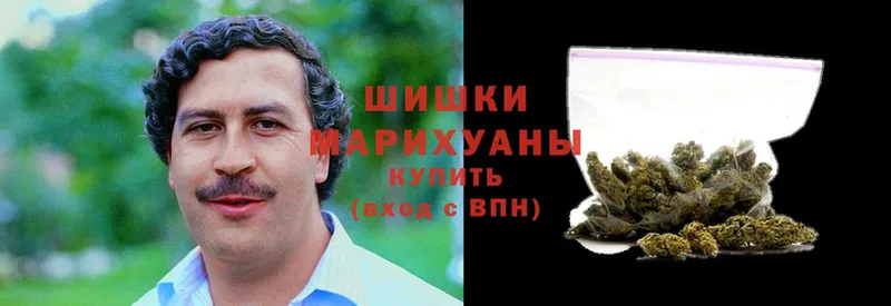 Конопля Bruce Banner  Электрогорск 